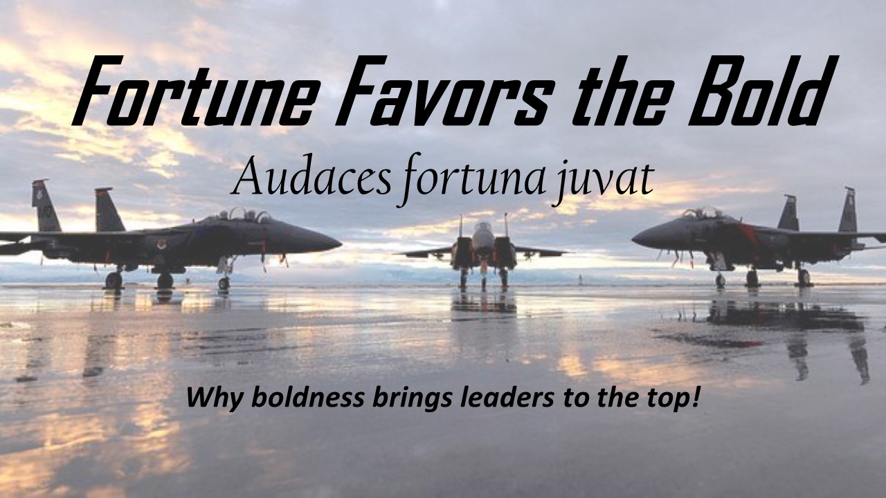 Fortune Favors the Bold – Leadership Bricks